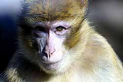 Tierpark